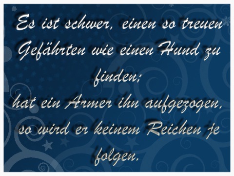 Hunde Gabriele Schmidke, Kontakt Gabriele Schmidke, Kundenberatung Gabriele Schmidke